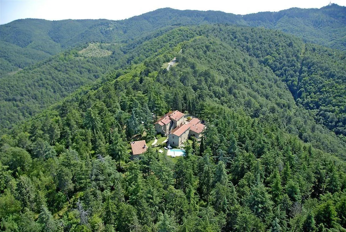 Vaniglia 카이오레인챠안티